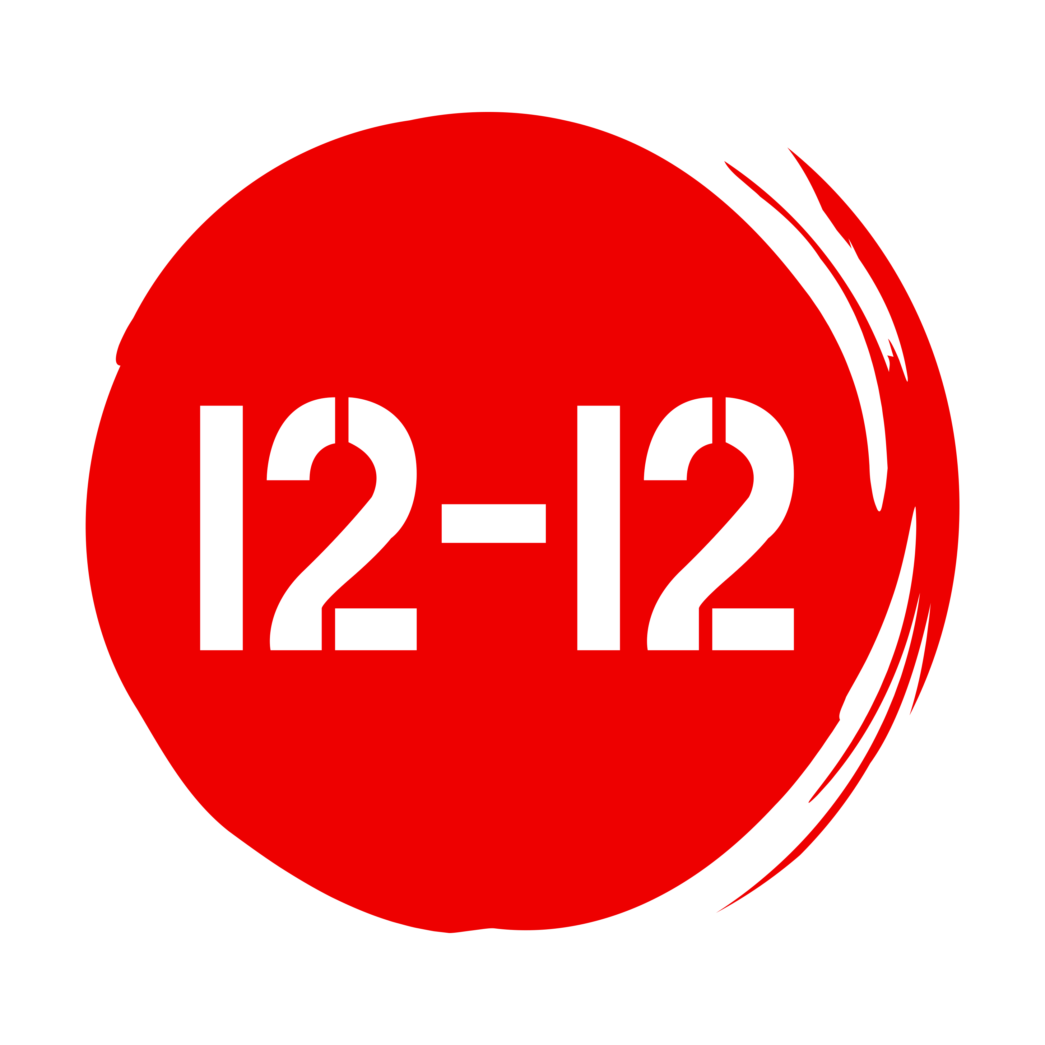 Icon 1212